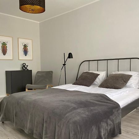 Apartament Kilinskiego 9 Swidnica  Exterior photo